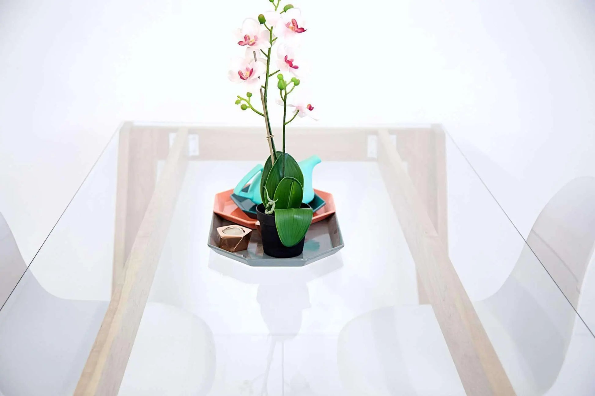 Functional and elegant glass-top dining table with sturdy wood legs
Functional and elegant glass-top dining table with sturdy wood legs